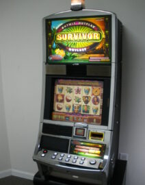 WMS SURVIVOR VIDEO SLOT MACHINE